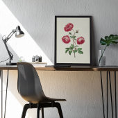 Antieke Aquarel Botanische Print