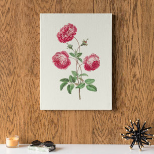 Antieke Aquarel Botanische Print