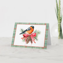 Antieke Aquarel Vogel met Denneappels Kerstfeest