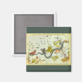 Antieke astronomie, sterrenbeeld Hydra slang Magneet (Voorkant / Achterkant)