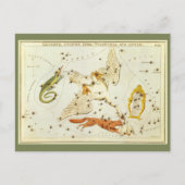 Antieke astronomie, sterrenbeeld Sterrenkaart kaar Briefkaart (Voorkant)