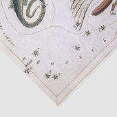 Antieke astronomische hemelkaart tissuepapier (Detail)