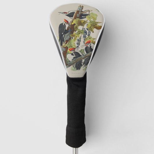 Antieke Audubon-grote specht-vogelkunst Golfheadcover (Voorkant)
