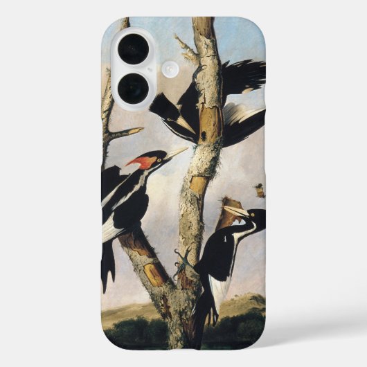 Antieke Audubon Ivoorbek-Specht Kunst Case-Mate iPhone Case (Achterkant)