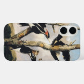 Antieke Audubon Ivoorbek-Specht Kunst Case-Mate iPhone Case (Achterkant (horizontaal))