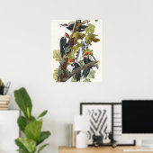 Antieke Audubon Kuifspecht Vogelkunst Poster (Thuiskantoor)
