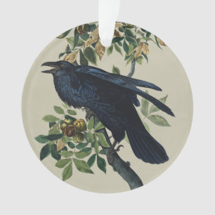 Antieke Audubon Raaf Vogel Natuur Kunst Ornament