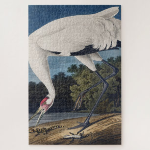 Antieke Audubon Trompetkraanvogel Vogel Natuur Kun Legpuzzel