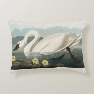 Antieke Audubon White Swan Waterlelie Kunst Accent Kussen
