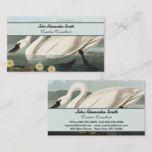 Antieke Audubon White Swan Waterlelie Kunst Visitekaartje