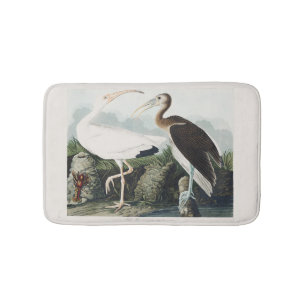 Antieke Audubon Witte Ibis Vogel Natuur Kunst Badmat