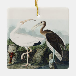 Antieke Audubon Witte Ibis Vogel Natuur Kunst Keramisch Ornament