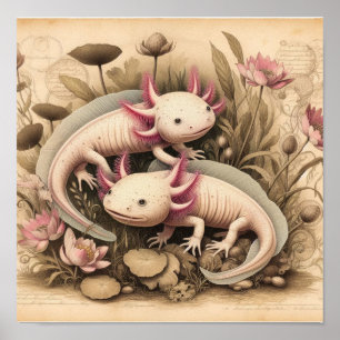 Antieke Axolotl Poster met Wetenschappelijke Plant