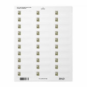 Antieke Barokke Tijdperk Atlas Frontispice Wereldb Etiket (Full Sheet)