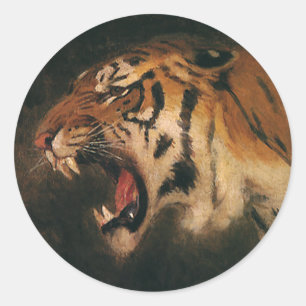 Antieke Bengaalse Tijger Grote Kat die Brult, Wild Ronde Sticker