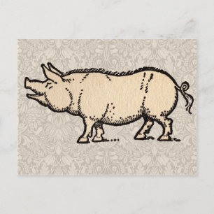 Antieke Biggetje Illustratie Cute Vintage Briefkaart