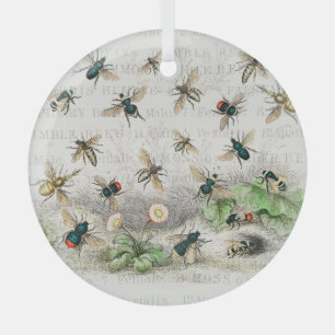 Antieke Bij Koningin Bij Entomologie Botanisch Glas Ornament