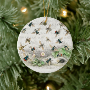 Antieke Bij Koningin Bij Entomologie Botanisch Keramisch Ornament