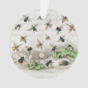 Antieke Bij Koningin Bij Entomologie Botanisch Ornament
