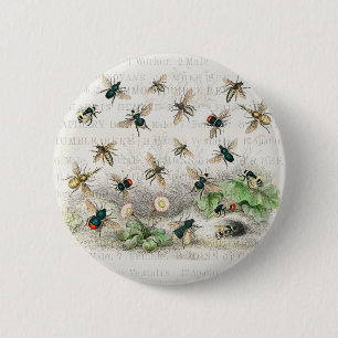 Antieke Bij Koningin Bij Entomologie Botanisch Ronde Button 5,7 Cm