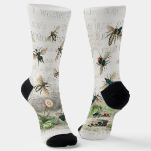 Antieke Bij Koningin Bij Entomologie Botanisch Sokken