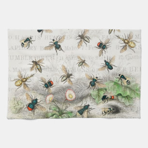 Antieke Bij Koningin Bij Entomologie Botanisch Theedoek