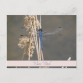 Antieke Blauwe Libelle Aangepaste Botanische Noot Briefkaart (Voorkant)