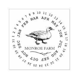 Antieke boerderij elegante Eendenei Karton Stempel