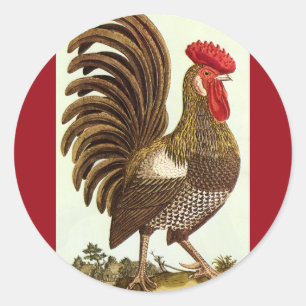 Antieke boerderijdieren Kippen, trotse haan Ronde Sticker