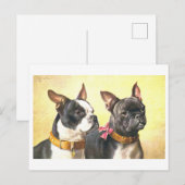Antieke Boston Terriers Briefkaart (Voorkant / Achterkant)