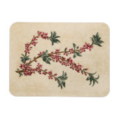 Antieke botanische bloemengewone magnet magneet (Horizontaal)