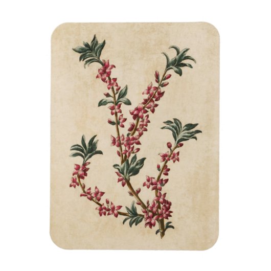 Antieke botanische bloemengewone magnet magneet (Verticaal)