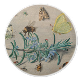 Antieke botanische en bij-illustratie keramische knop