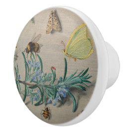Antieke botanische en bij-illustratie keramische knop