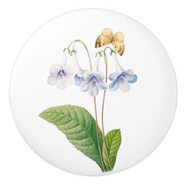 Antieke botanische illustratie poster keramische knop