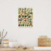 Antieke botanische illustratie van fruit poster (Keuken)