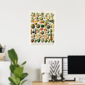 Antieke botanische illustratie van fruit poster (Thuiskantoor)