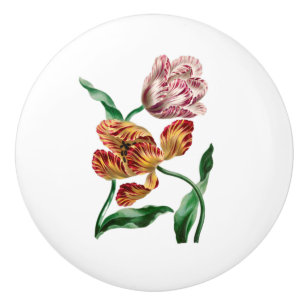 Antieke botanische illustratie van tulp keramische knop