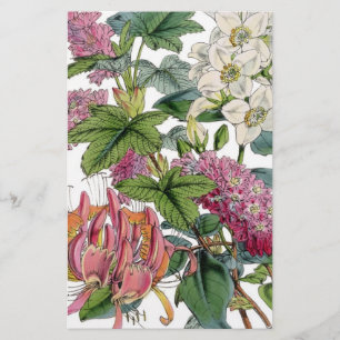 Antieke botanische illustraties flyer