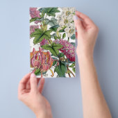 Antieke botanische illustraties flyer (Hand)