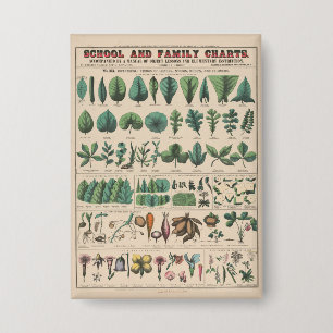 Antieke Botanische Schoolkaart Vintage Natuur Button