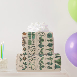 Antieke Botanische Schoolkaart Vintage Natuur Cadeaupapier