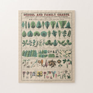 Antieke Botanische Schoolkaart Vintage Natuur Legpuzzel