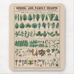 Antieke Botanische Schoolkaart Vintage Natuur Muismat