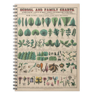 Antieke Botanische Schoolkaart Vintage Natuur Notitieboek