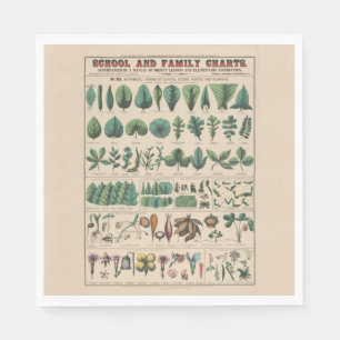 Antieke Botanische Schoolkaart Vintage Natuur Servet