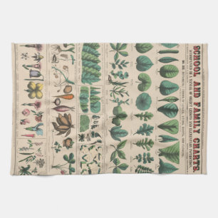 Antieke Botanische Schoolkaart Vintage Natuur Theedoek