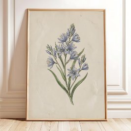 Antieke Camassia Bloem Print Boerderij Decoratie