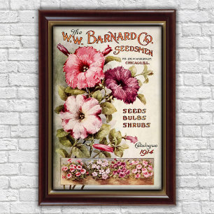 Antieke Chicago bloemencatalogus advertentie Poster