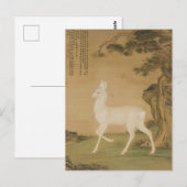 Antieke Chinese keizerlijke kunst witte herten sch Briefkaart (Voorkant / Achterkant)